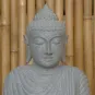 morepic-2